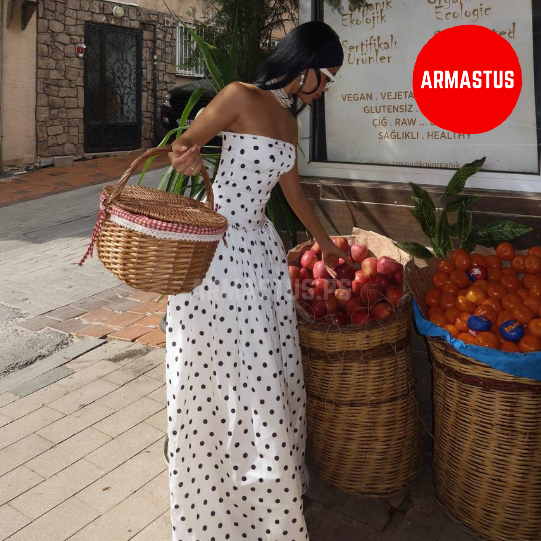 Dress Polka Dress