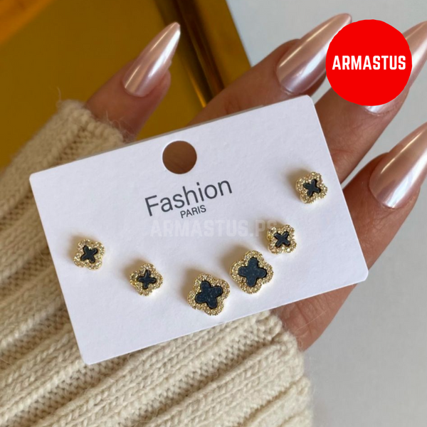Earring 6pcs