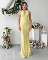 Romance in Lace Dress