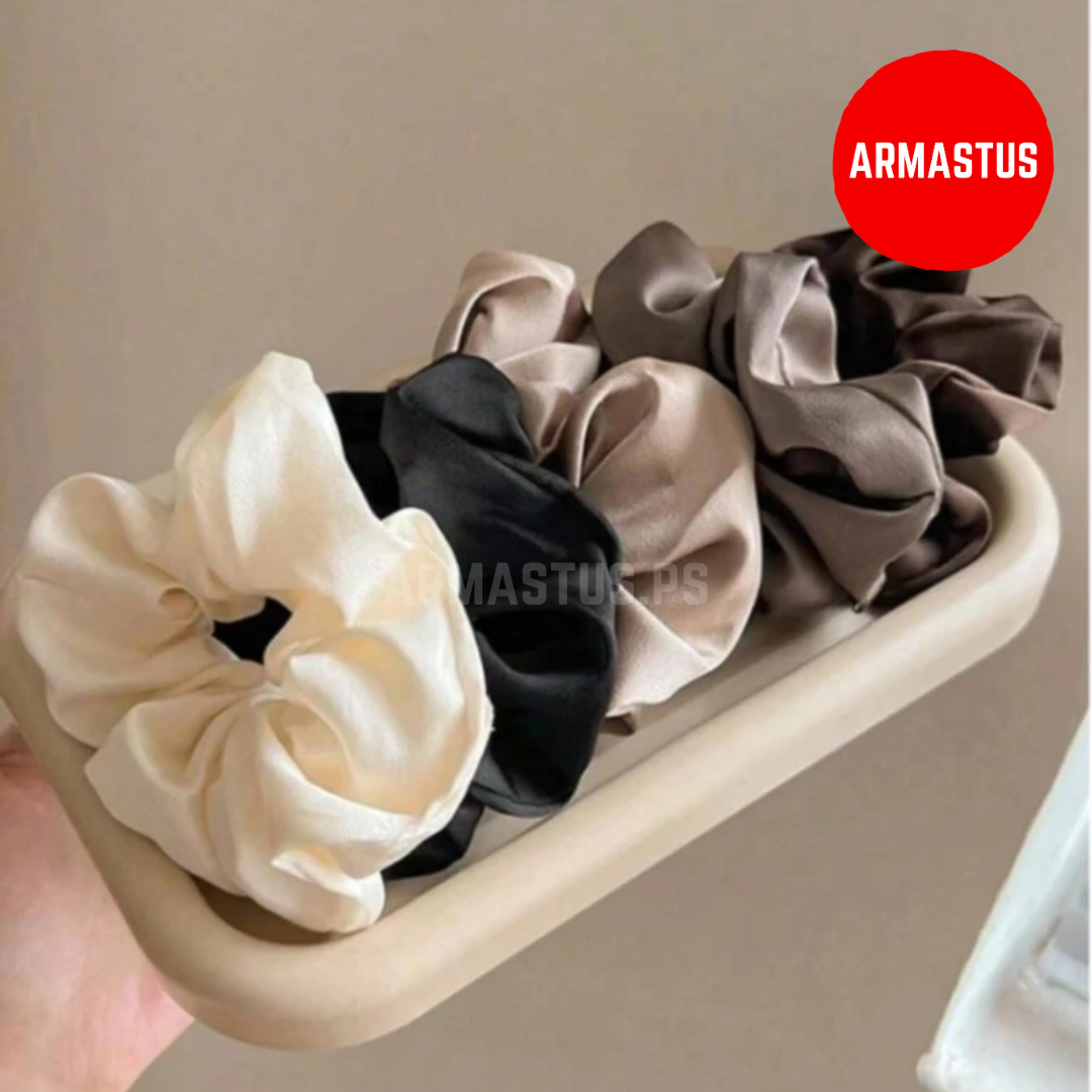 5PC Set Hair Ties