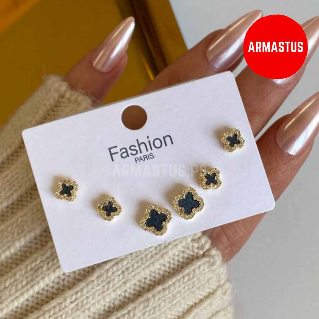 Earring 6pcs