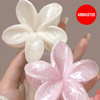 2PC Set Floral Hair Clips