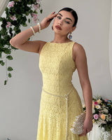 Elegant Waistline Lace Dress