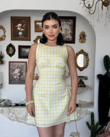 Retro Picnic Mini Dress