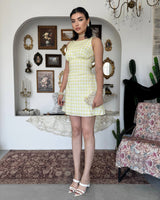 Retro Picnic Mini Dress